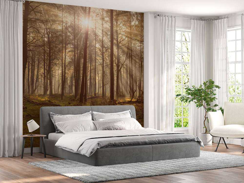 Las z wysokimi drzewami