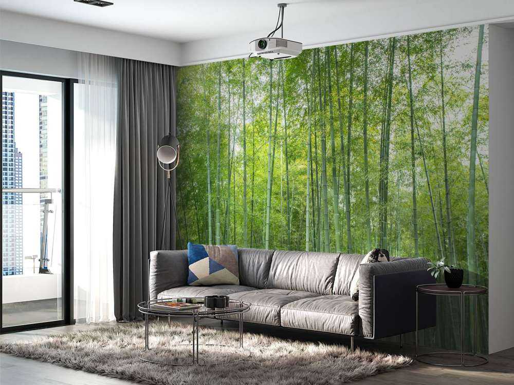 Zielony las bambusowy