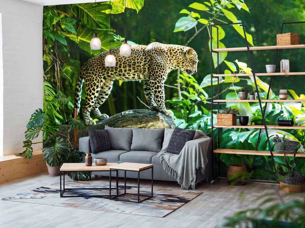 Leopard na skale