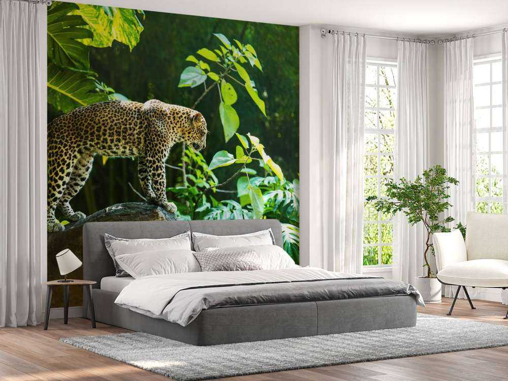 Leopard na skale