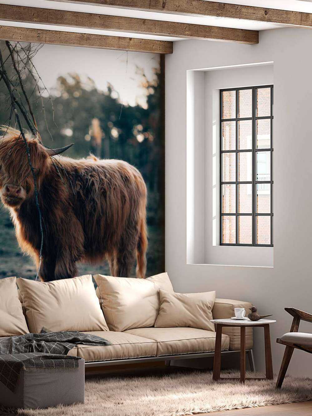 Szkocki wyżyn na skraju lasu