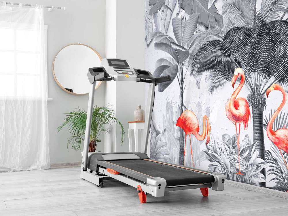 Dżungla z flamingami