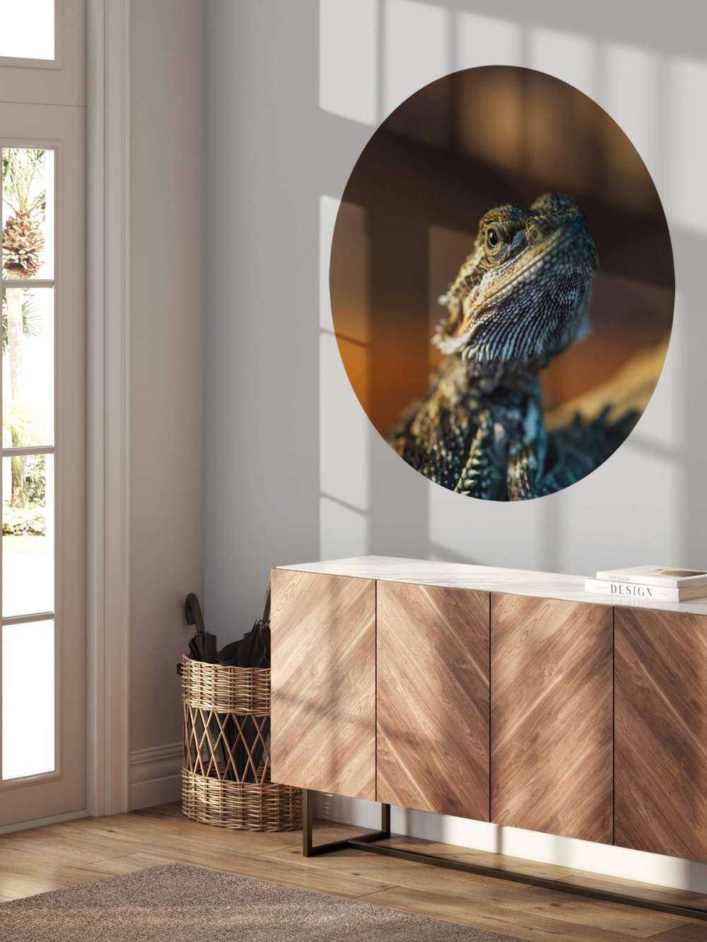 Kameleon w zbliżeniu