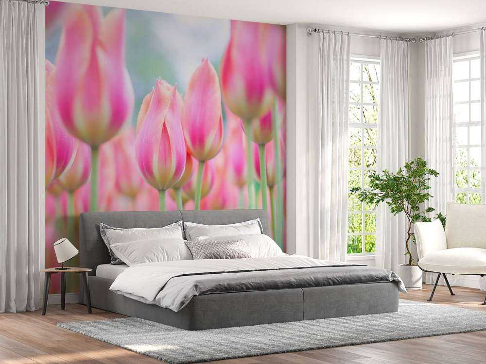 Zbliżenie na różowe tulipany