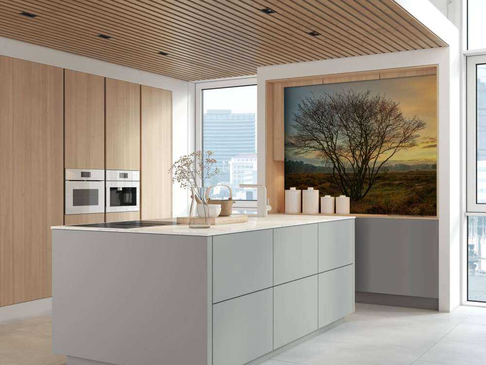 Wschód słońca na wrzosowisku