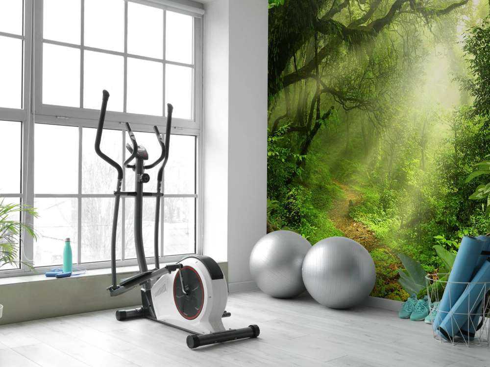 Dżungla z promieniami słońca