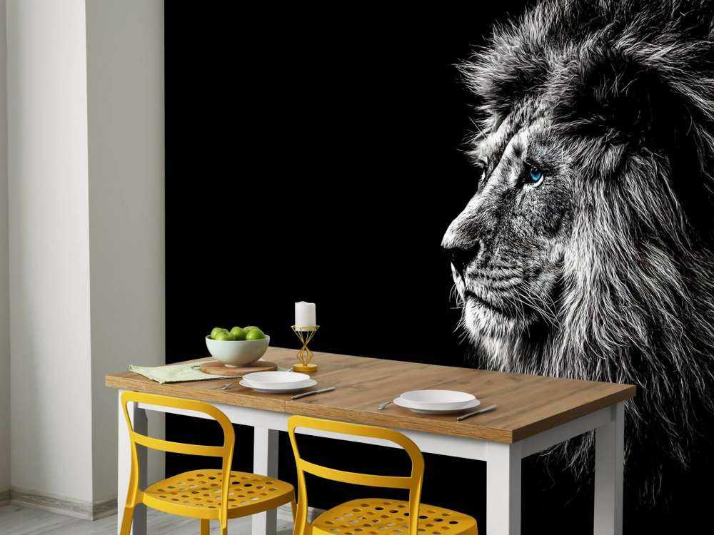 Lew z niebieskimi oczami