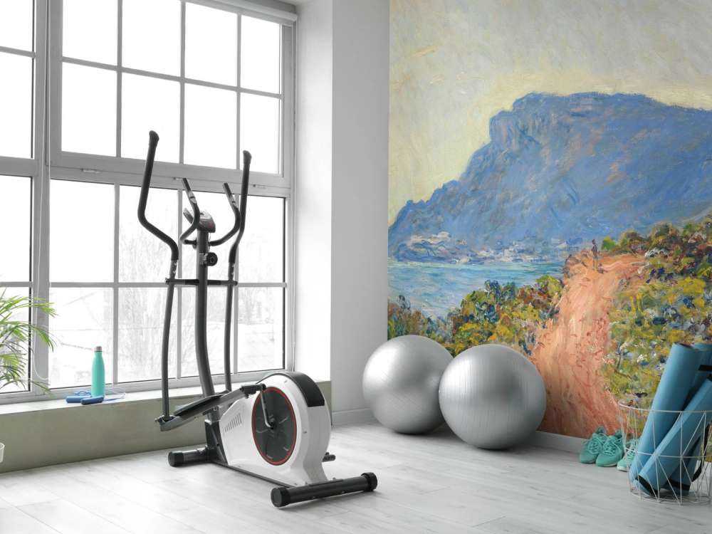 La Corniche koło Monako