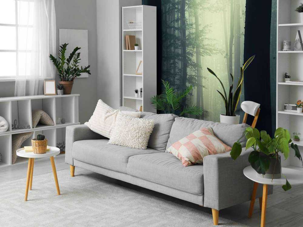 Promień słońca w lesie