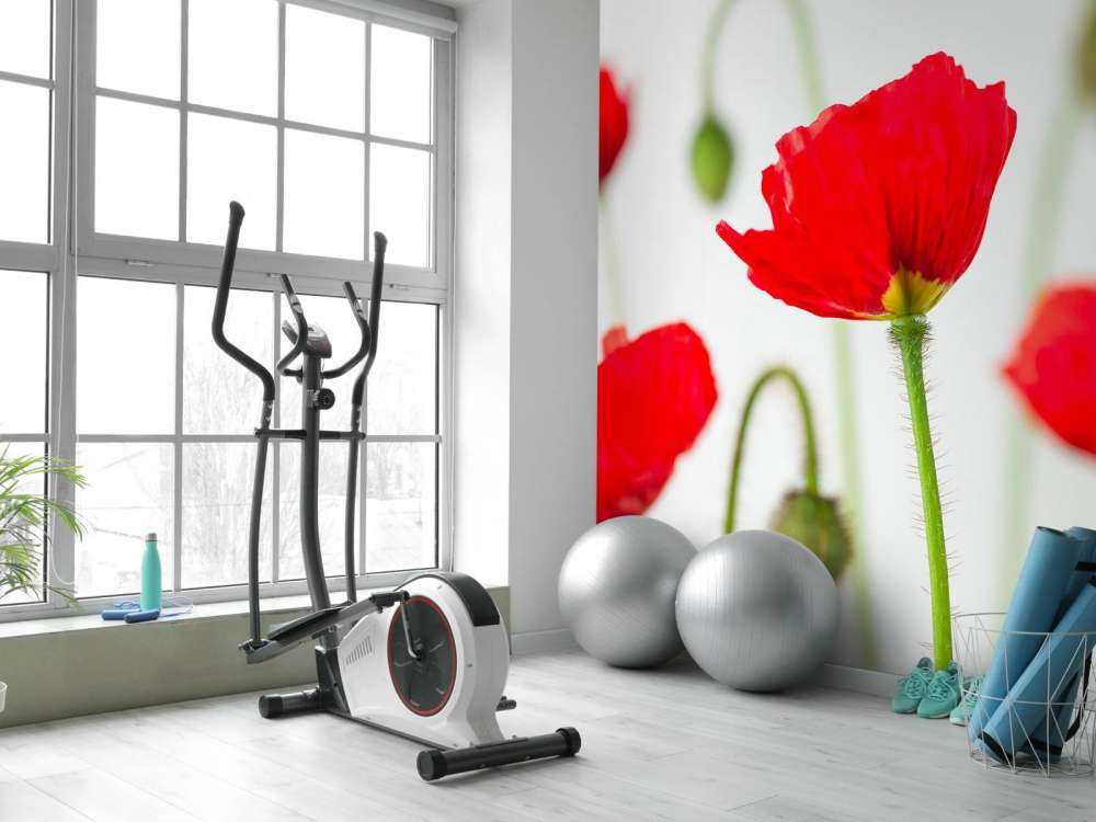 Zbliżenie na czerwone maki