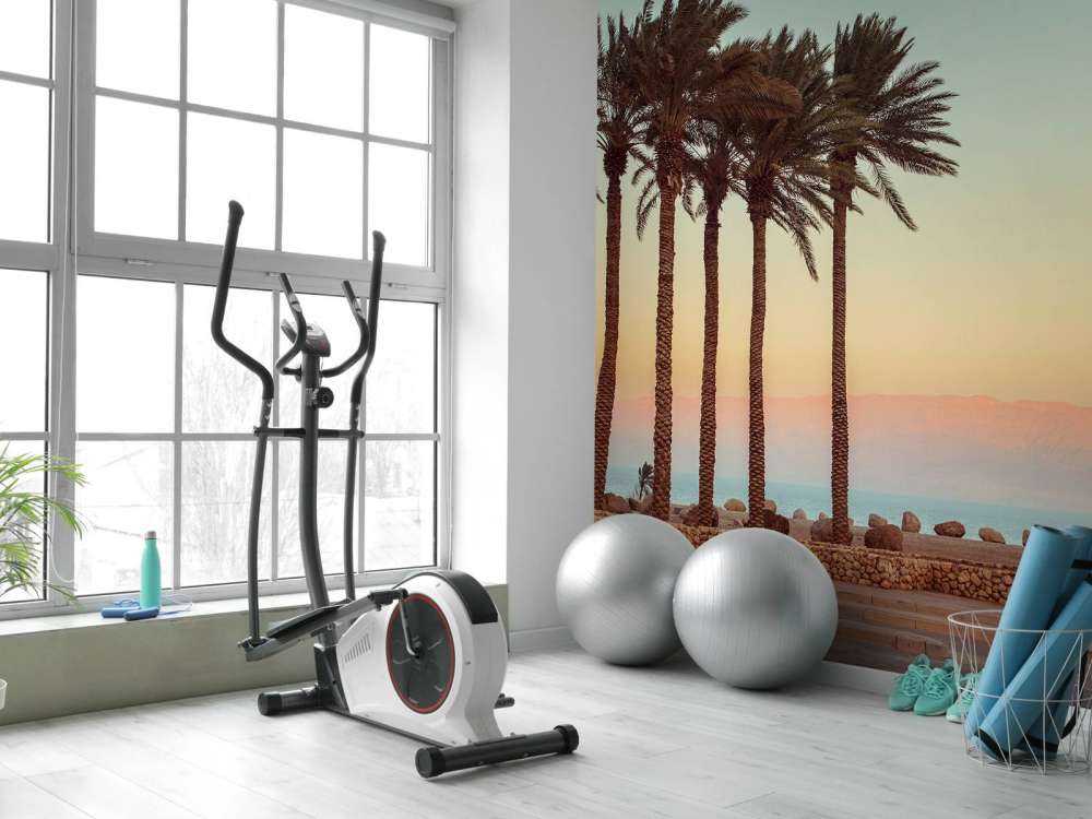 Palmy o zachodzie słońca