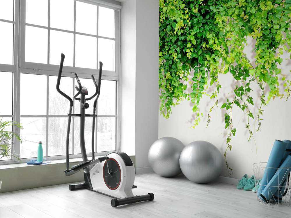 Zielone zwisające gałęzie