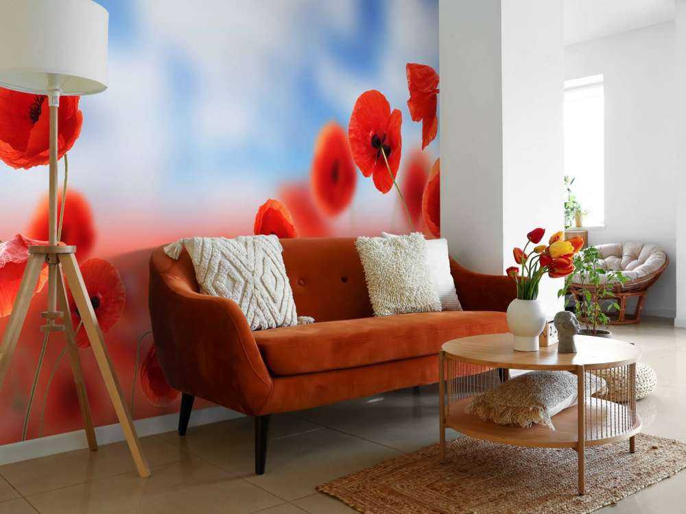 Błękitne niebo i czerwone maki