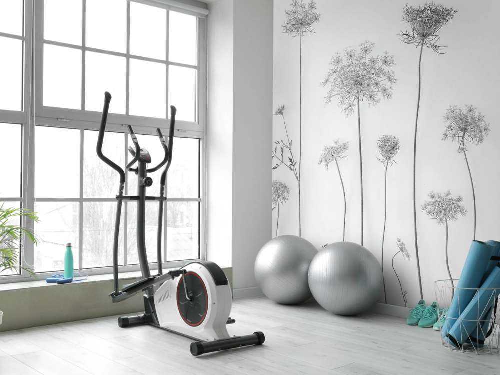 Krowa pietruszka w czerni i bieli