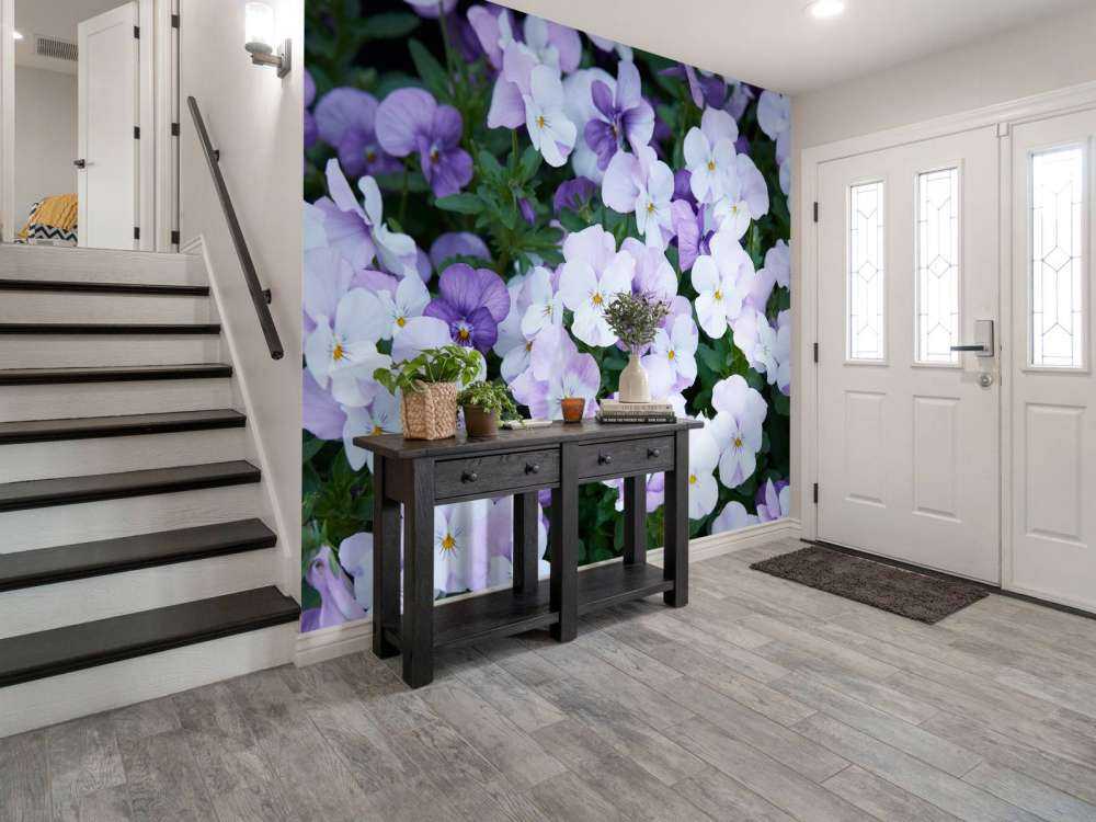 Fioletowobiałe skrzypce