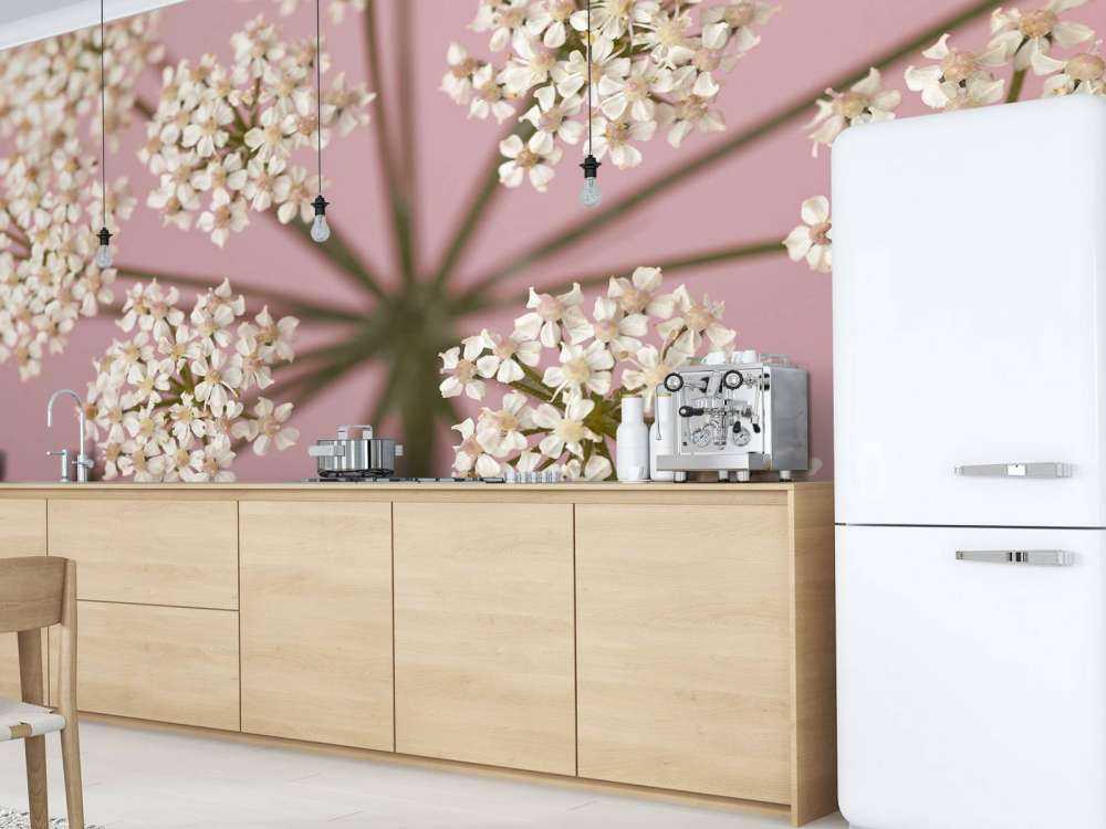 Pietruszka białej krowy