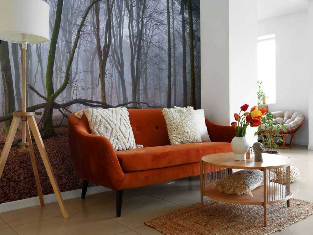 Tajemniczy, zamglony las