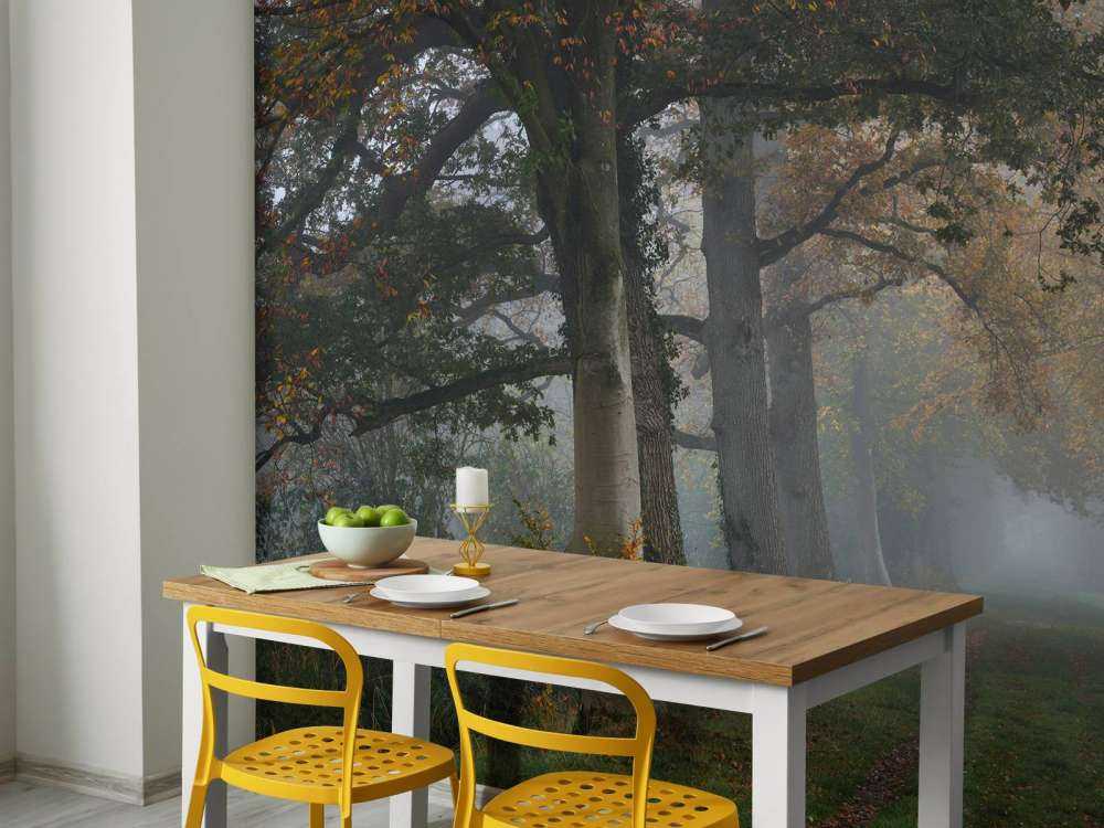 Aleja z drzewami we mgle