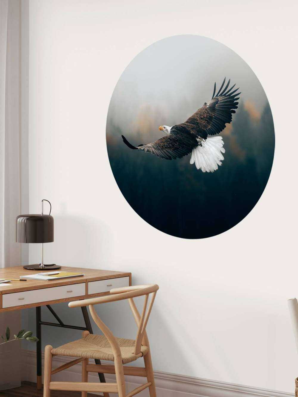 Orzeł przedni nad lasem