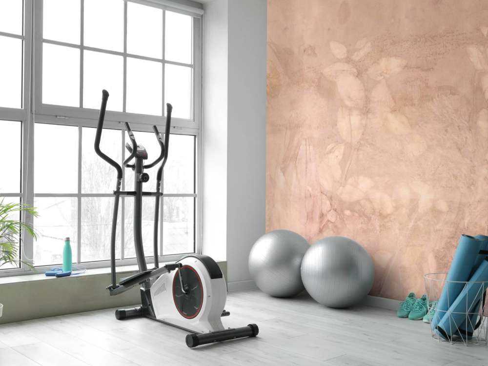 Dzikie jeżyny i babka - świat marzeń w różu