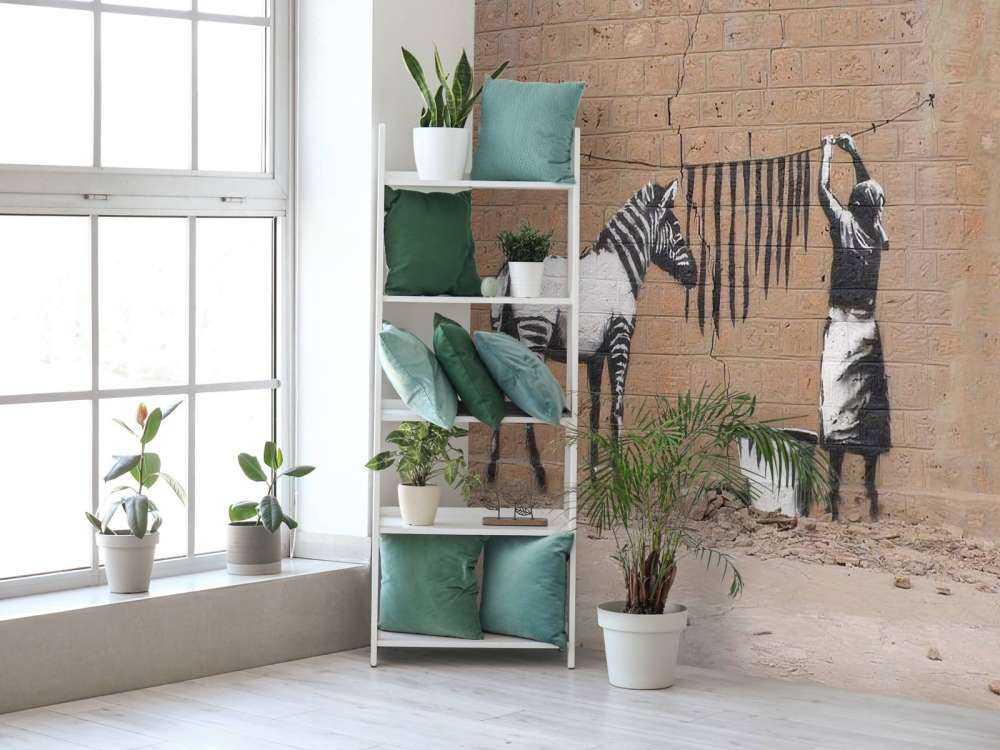 Banksy - Zebra clothes