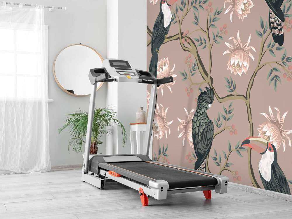 Taniec kwiatów tukana