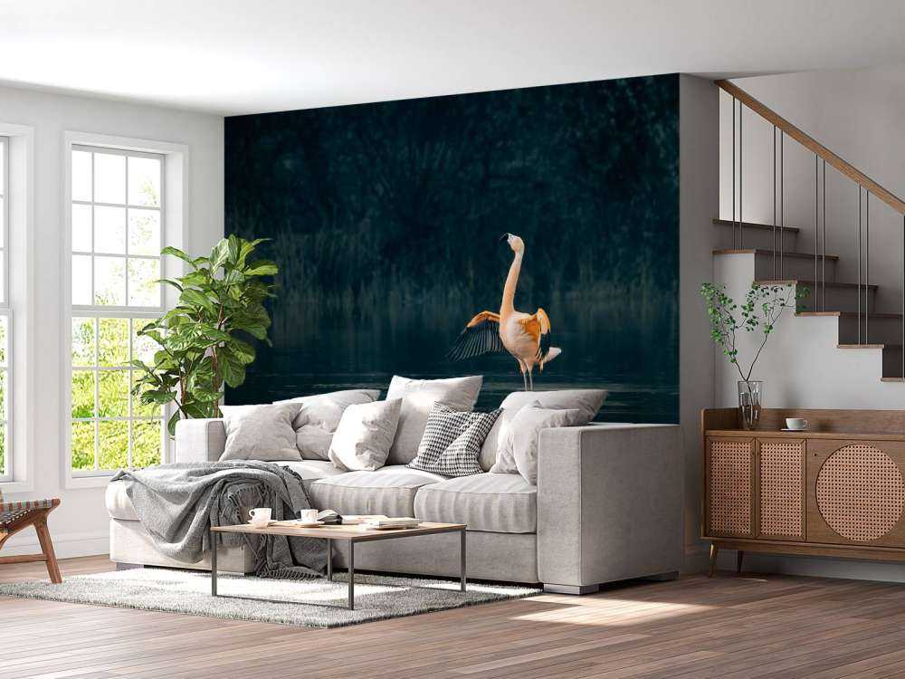 Flaming w opuszczonym jeziorze