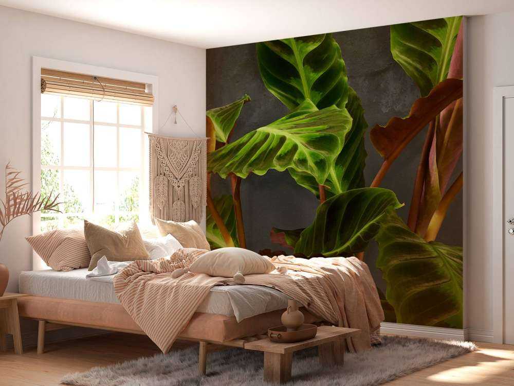 Roślina z pięknymi zielonymi liśćmi