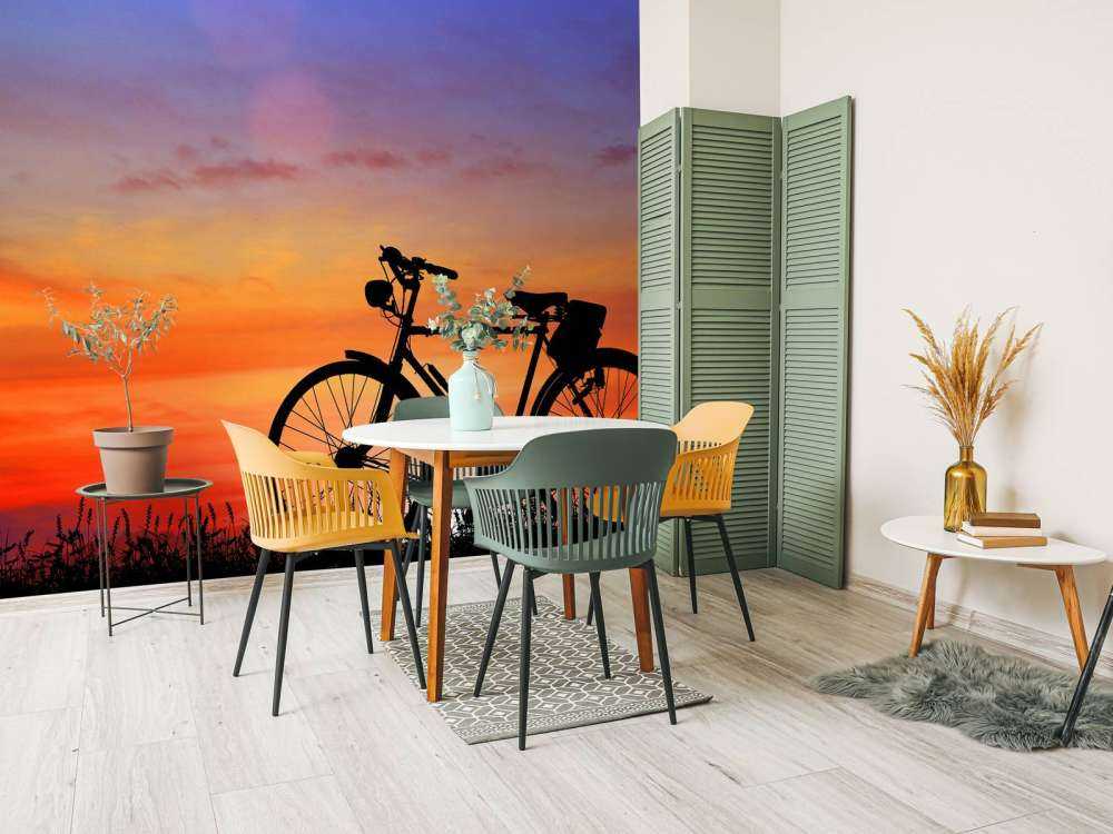 Rower zabytkowy przy zachodzie słońca