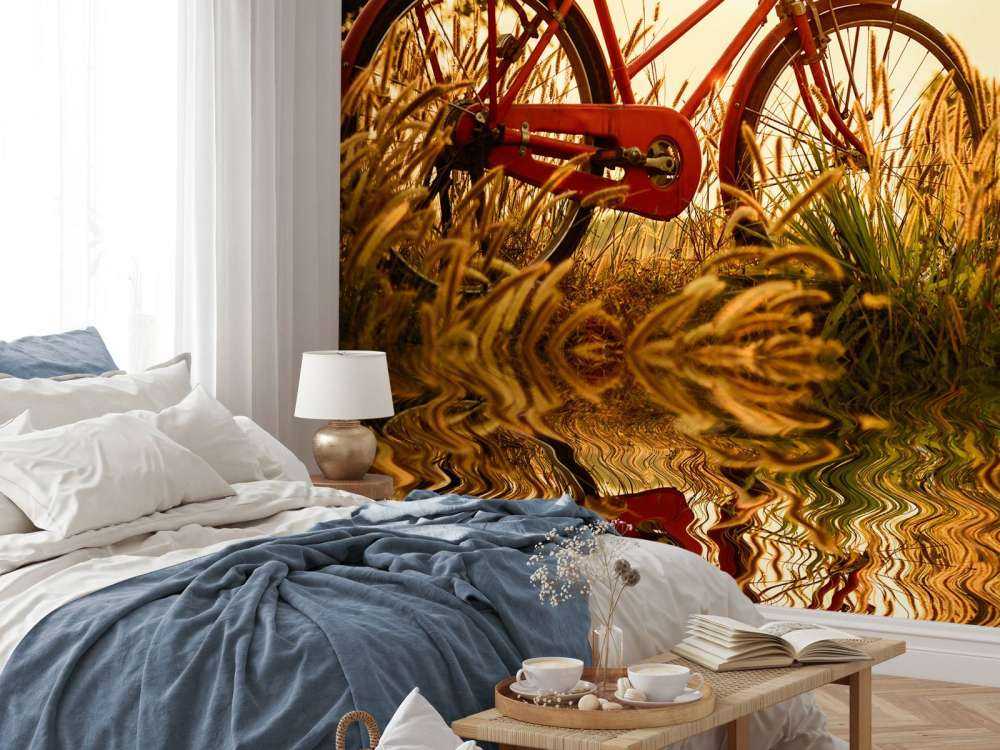 Rower na zachodzie słońca