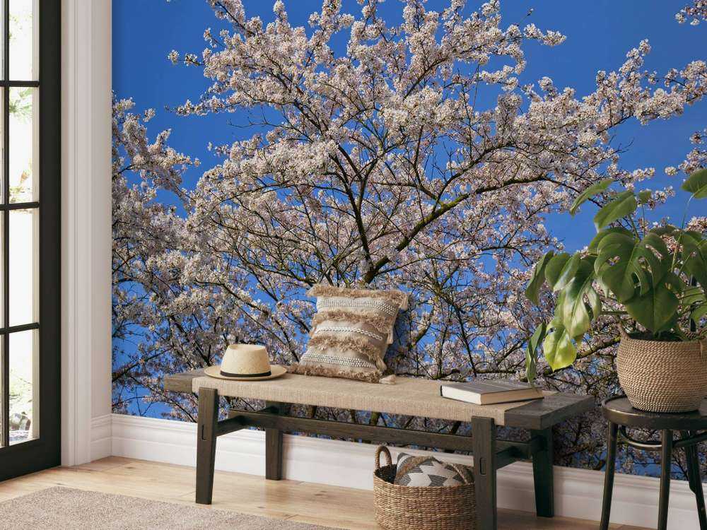 Kwiat z błękitem nieba