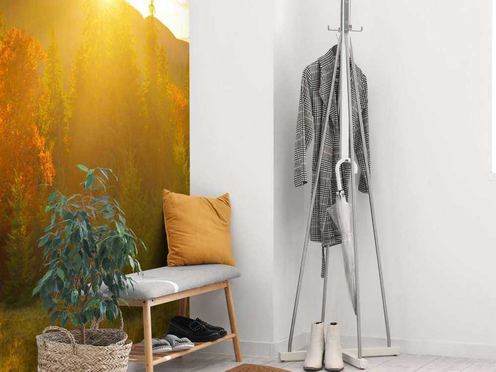 Panorama lasu sosnowego