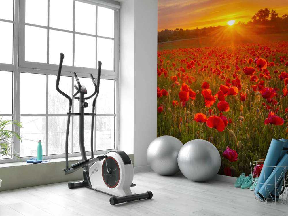 Kwitnące pole makowe