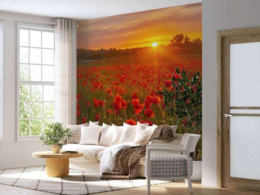 Kwitnące pole makowe