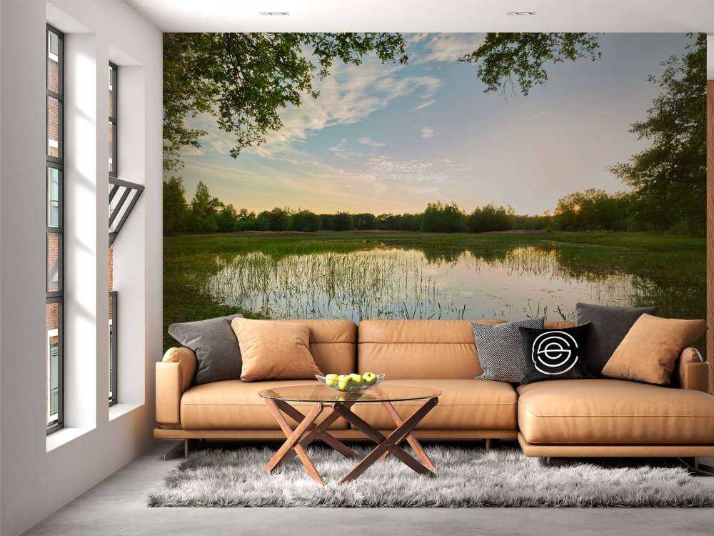 Zachód słońca w lesie