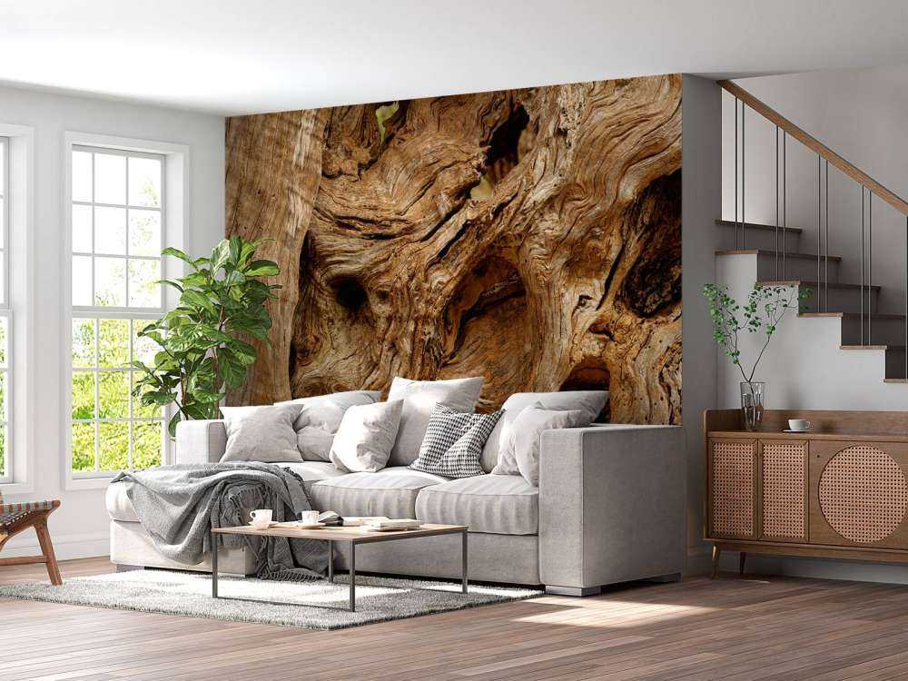 Zbliżenie na stare drzewo