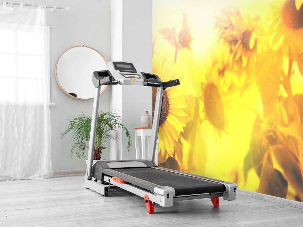 Słonecznikowa panorama