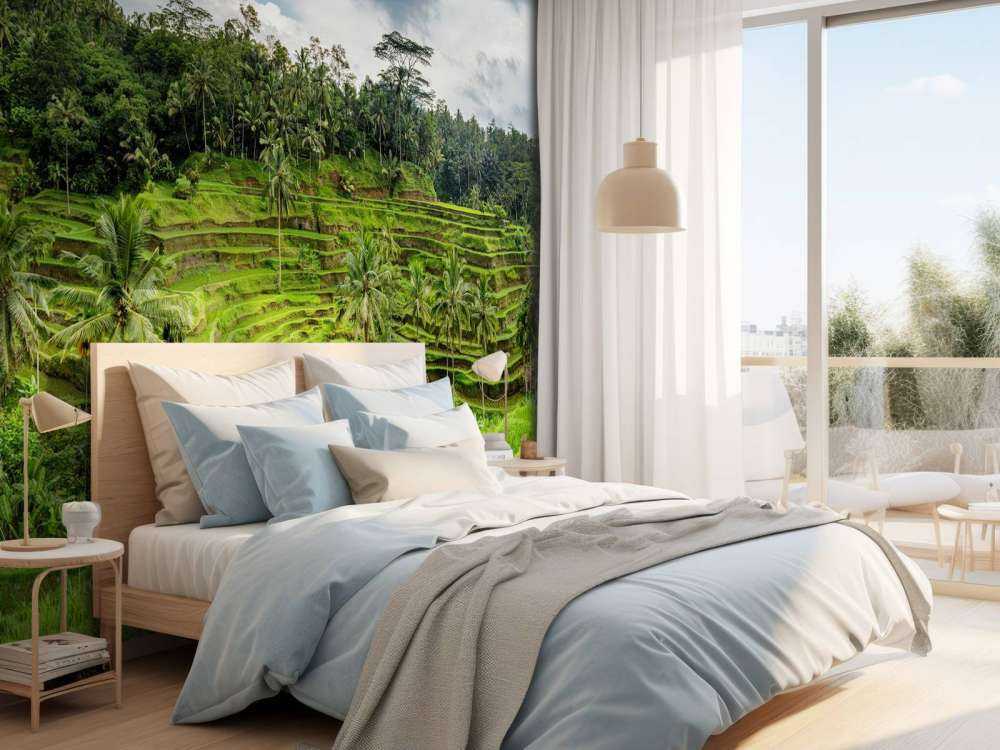 Tajlandzkie pola ryżowe