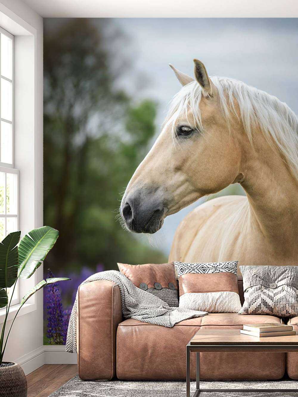 Koń między lawendą