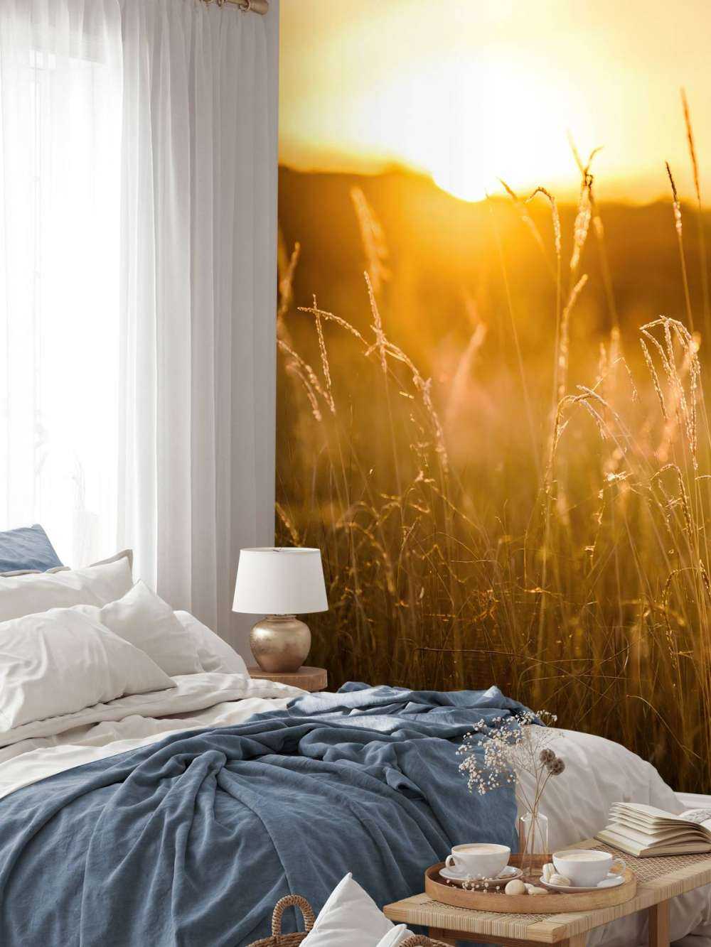 Zachód słońca między ziarnami