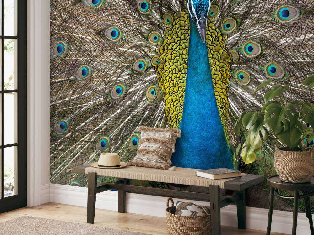 Paw z wypchanymi piórami