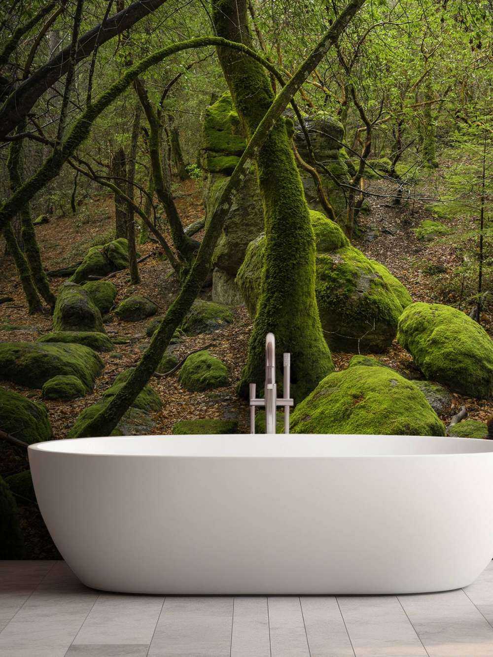 Drzewa i kamienie mchowe