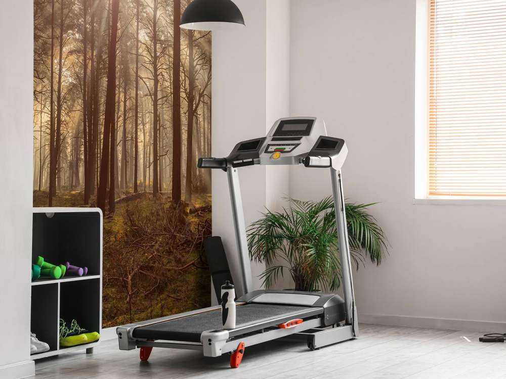 Las z wysokimi drzewami