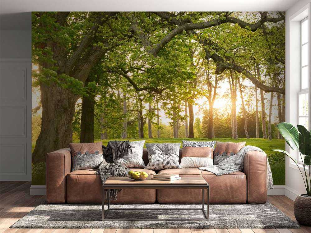 Otwarta przestrzeń w lesie