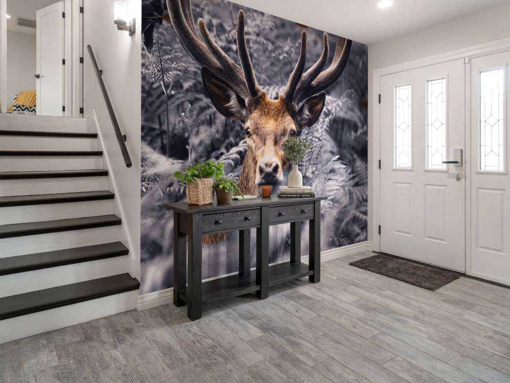 Zbliżenie na jelenia