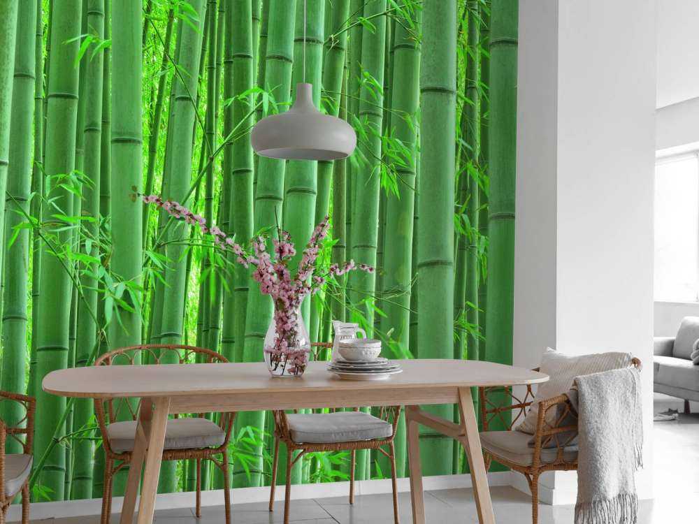 Zbliżenie na las bambusowy