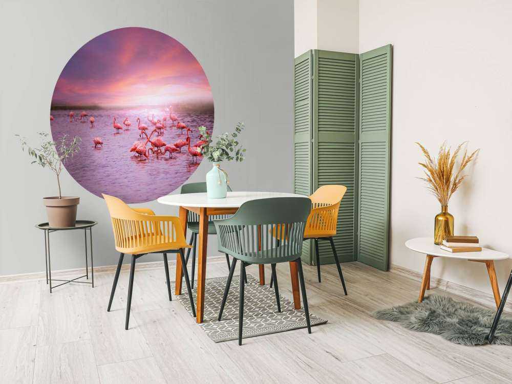 Flamingi na tle zachodzącego słońca