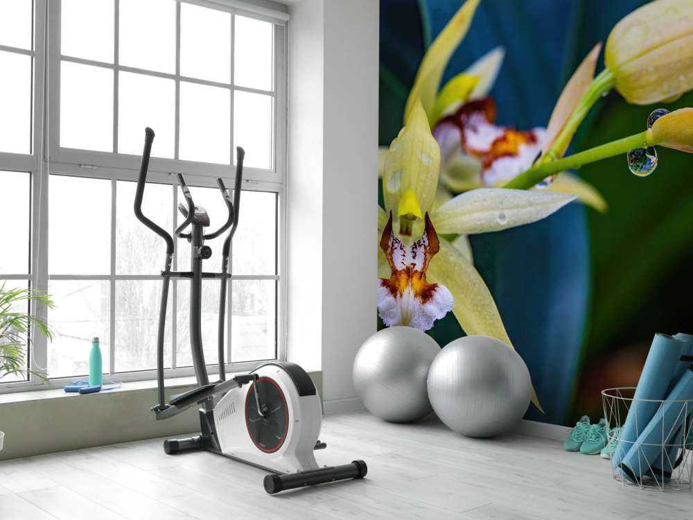 Dzika żółta orchidea