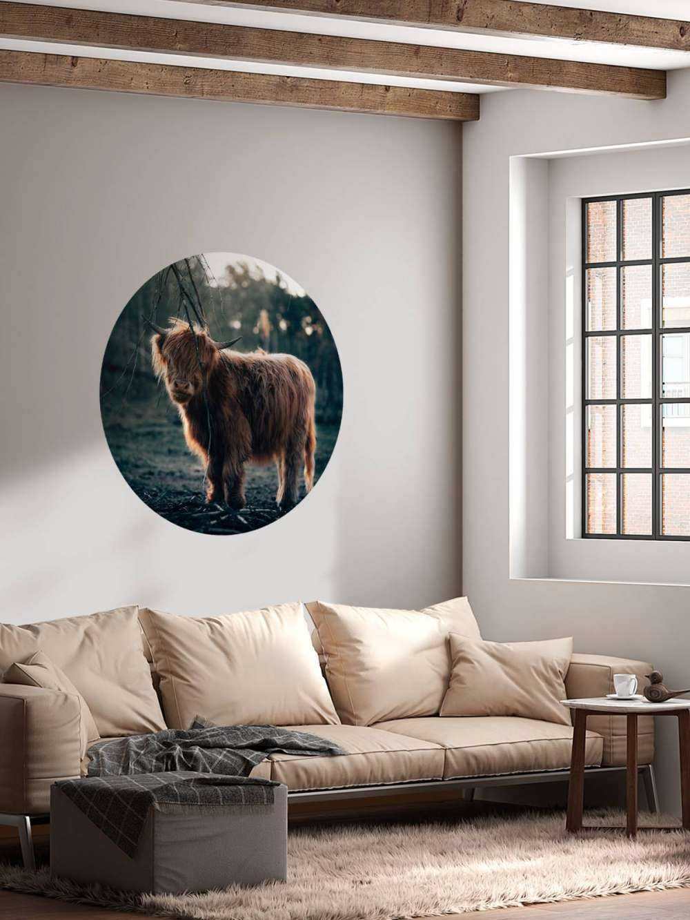 Szkocki wyżyn na skraju lasu