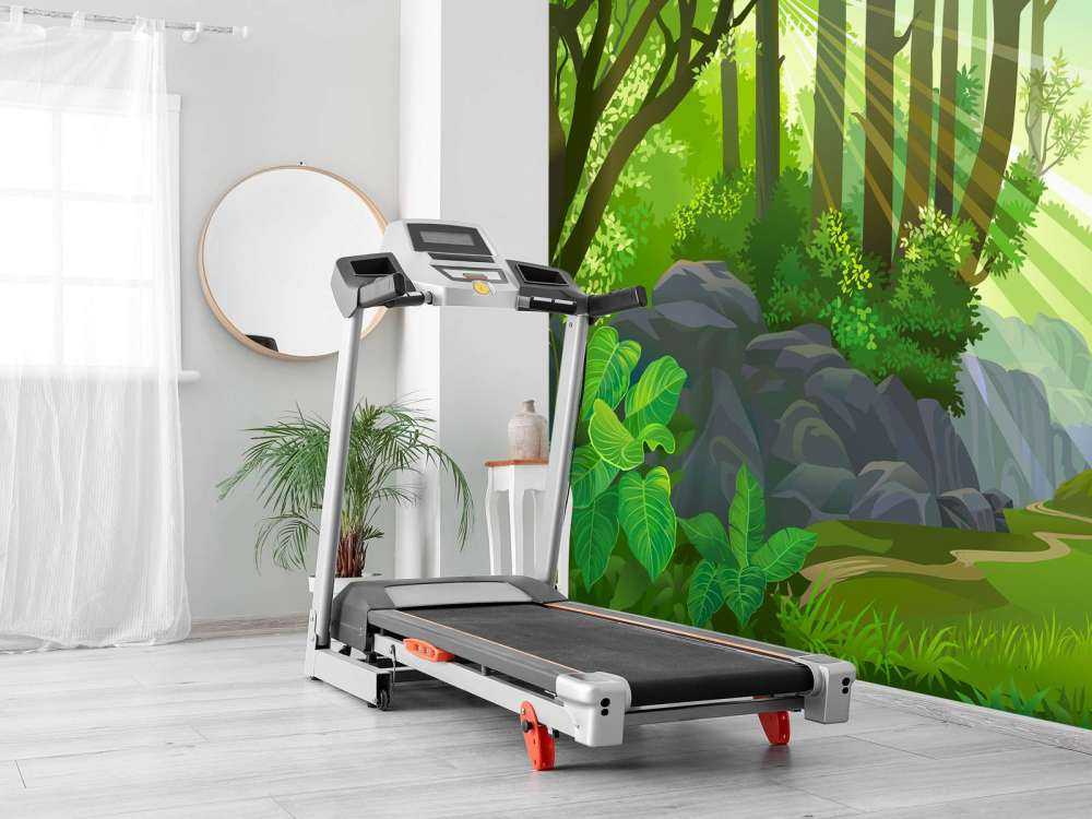 Światło słoneczne w dżungli